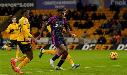 Loups contre forêt de Nottingham