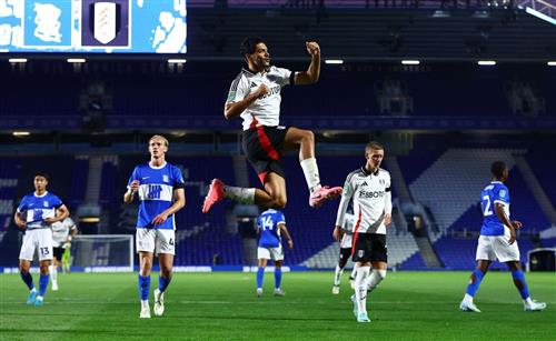Birmingham City contre Fulham