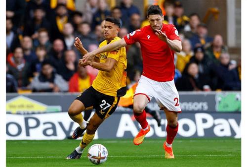 Loups contre forêt de Nottingham
